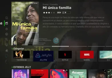 Cómo Instalar Build GTKing Phoenix en Kodi